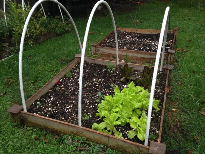 Building the FarmTek Cold Frame